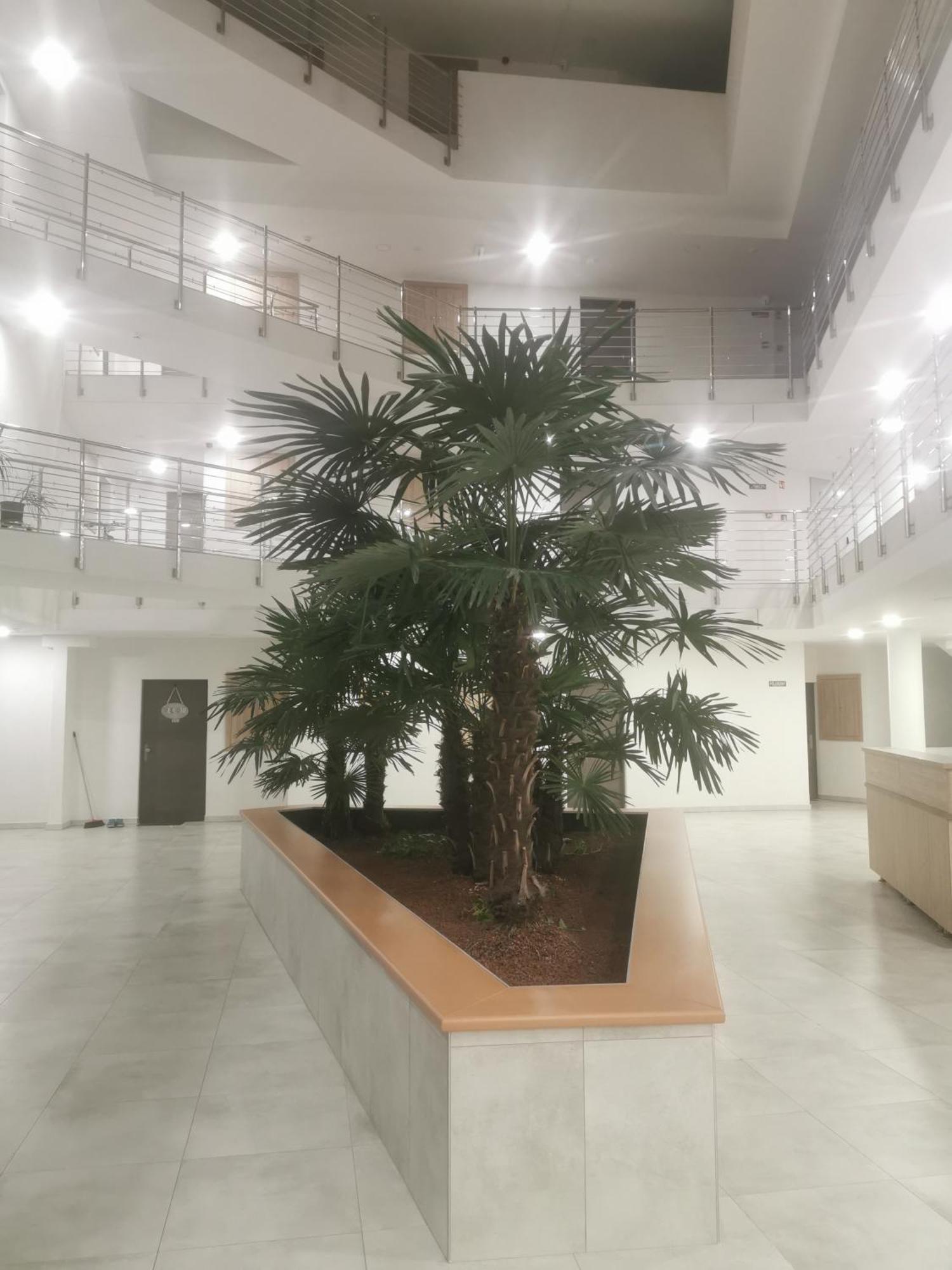 Beli Apartman Melygarazzsal Hévíz Exteriör bild